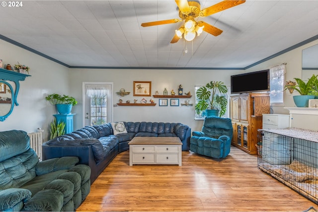 30274 Peoria Rd, Shedd, OR 97377 - living area with light wood-type flooring, ceiling fan, ornamental molding, and radiator heating unit