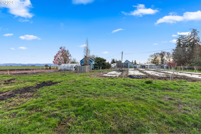 30274 Peoria Rd, Shedd, OR 97377 - view of yard