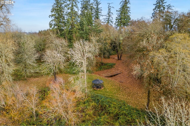 30274 Peoria Rd, Shedd, OR 97377 - view of undeveloped land