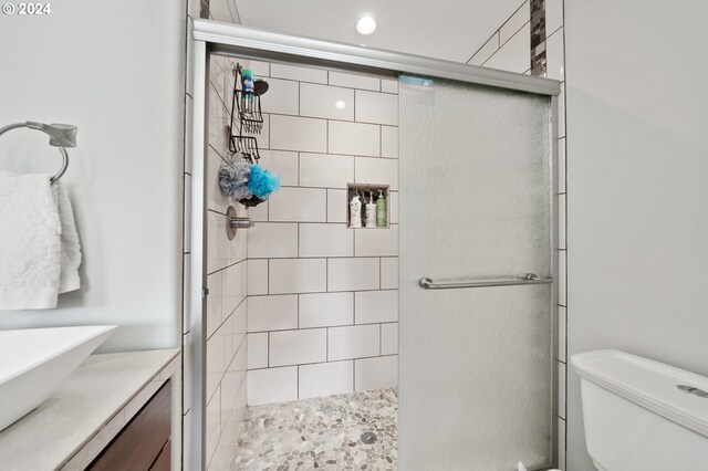 bathroom with toilet, vanity, and walk in shower