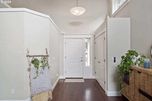 foyer entrance with dark hardwood / wood-style floors