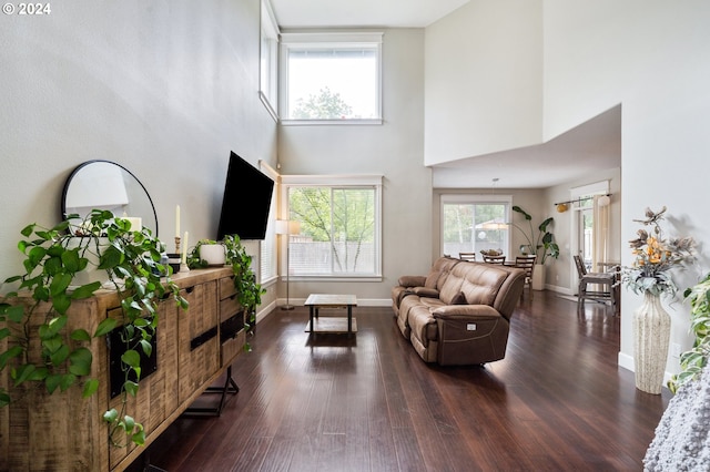 living room featuring dark hardwood / wood-style flooring and a high ceiling