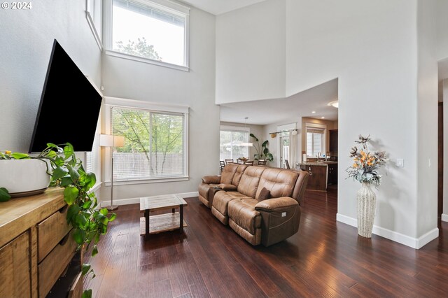 living room with dark hardwood / wood-style floors and a high ceiling