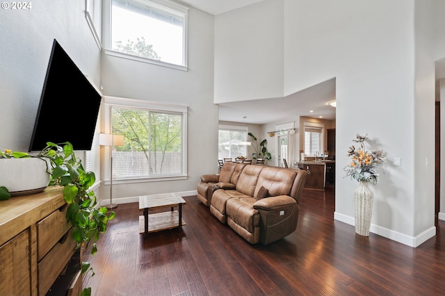 living room featuring dark wood-type flooring and a high ceiling