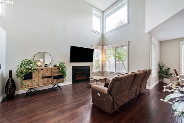 living room featuring hardwood / wood-style floors, a towering ceiling, and a fireplace