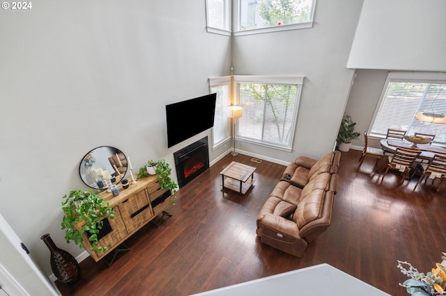 living room with dark hardwood / wood-style floors and a high ceiling