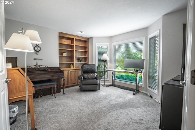 sitting room with carpet flooring and a textured ceiling