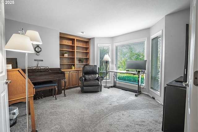 living area featuring carpet floors and a textured ceiling