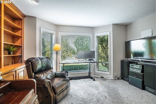 living area featuring a textured ceiling and carpet