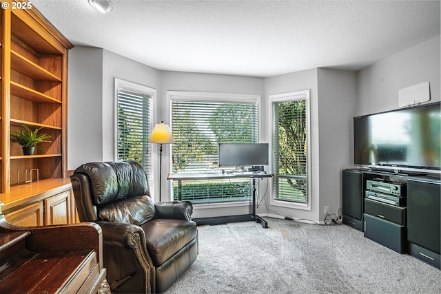 interior space with a wealth of natural light, a textured ceiling, and carpet flooring