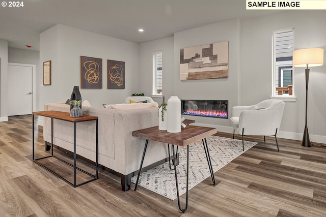 living room featuring hardwood / wood-style flooring