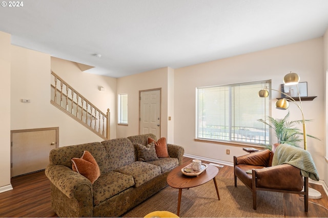 living room featuring hardwood / wood-style flooring