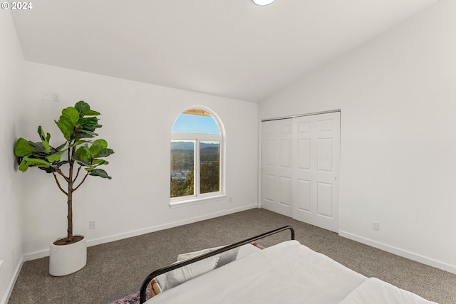 bedroom with carpet and vaulted ceiling