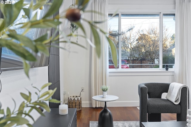 sitting room featuring dark wood-type flooring and a wealth of natural light