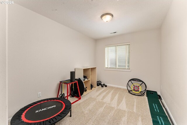 miscellaneous room with a textured ceiling and carpet floors