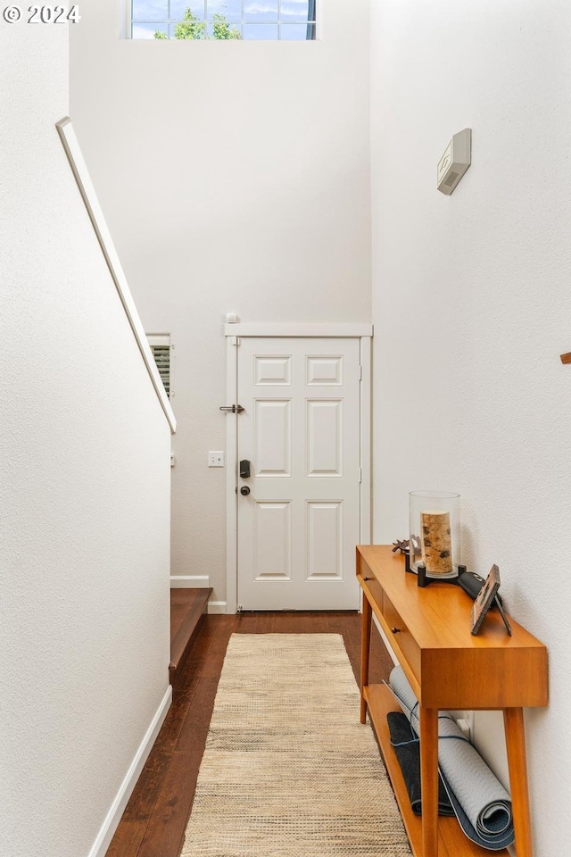 foyer with dark wood-type flooring