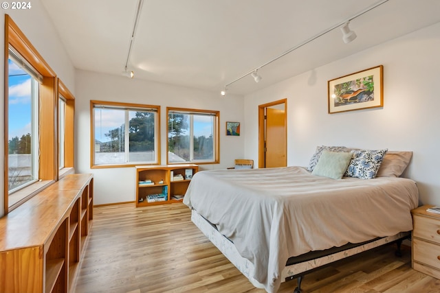 bedroom with track lighting, multiple windows, and light wood-type flooring