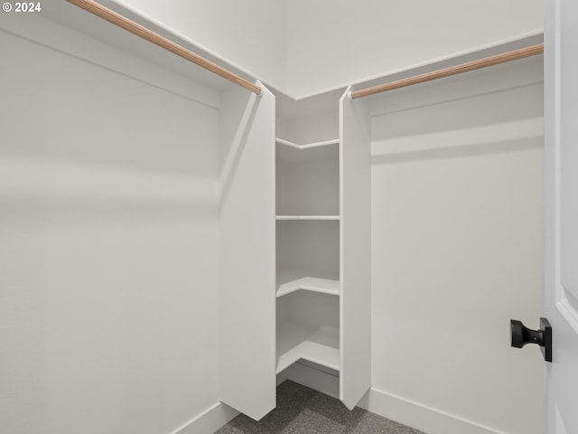 spacious closet featuring carpet floors