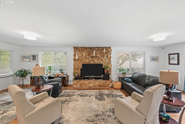 living room with light wood-type flooring and a wealth of natural light