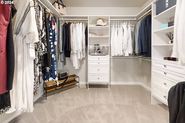 spacious closet with light colored carpet