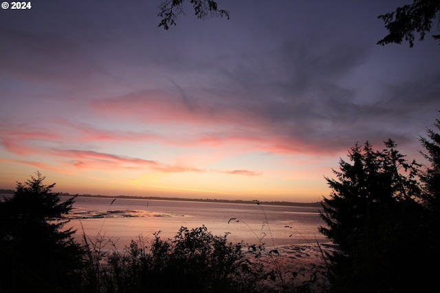 nature at dusk with a water view