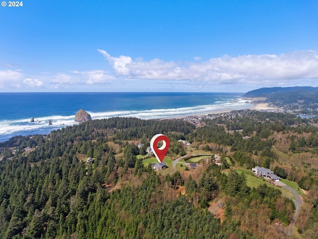 32227 Seascape Ln, Cannon Beach, OR 97110 - aerial overview of property's location featuring a heavily wooded area and a large body of water