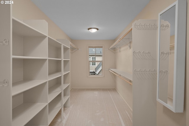 spacious closet with light carpet