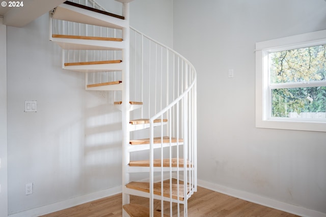 stairway with hardwood / wood-style flooring