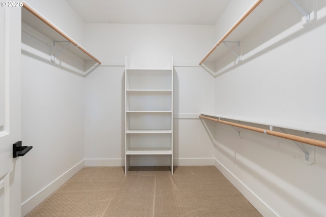 15708 NW Raywood Ln Unit L 24, Portland, OR 97229 - walk in closet with carpet