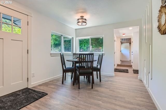 dining space featuring plenty of natural light and light wood-type flooring