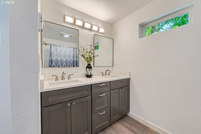 bathroom with hardwood / wood-style flooring and vanity