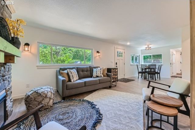 living room featuring light hardwood / wood-style flooring, a healthy amount of sunlight, and a stone fireplace