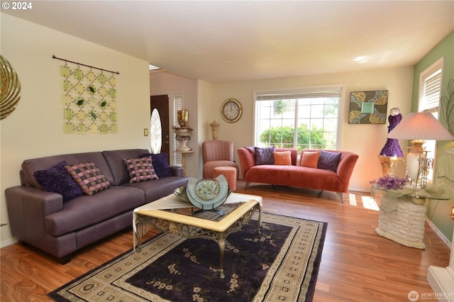 living room with wood-type flooring