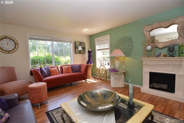 living room featuring light hardwood / wood-style flooring