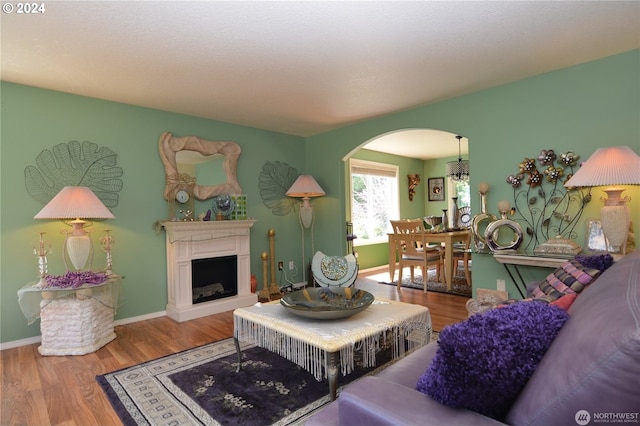 living room with hardwood / wood-style flooring