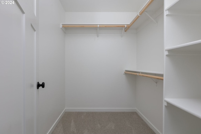 walk in closet featuring carpet flooring