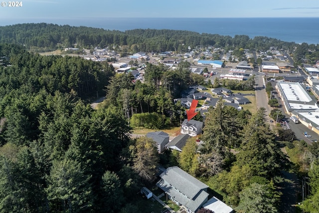 bird's eye view featuring a water view and a forest view