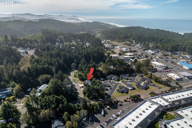 drone / aerial view with a view of trees