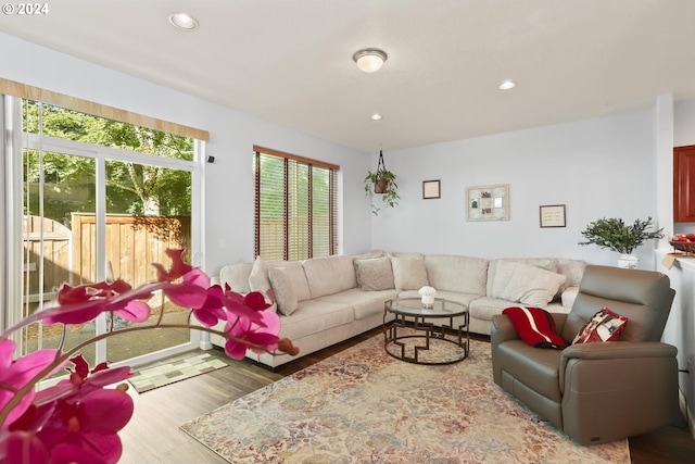 living room with hardwood / wood-style floors