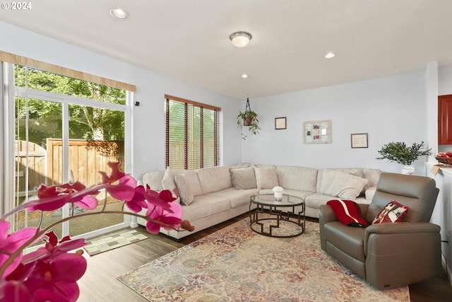 living area featuring recessed lighting and wood finished floors