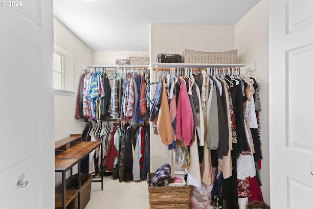walk in closet with carpet flooring