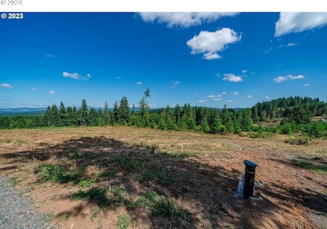 S Silver Lake Rd Unit 5, Castle Rock WA, 98611 land for sale