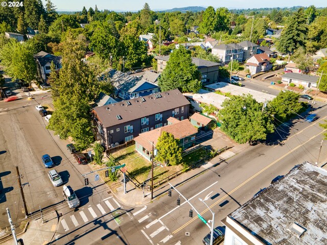 bird's eye view