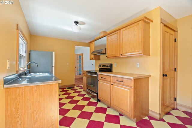 kitchen with exhaust hood, sink, and stainless steel appliances