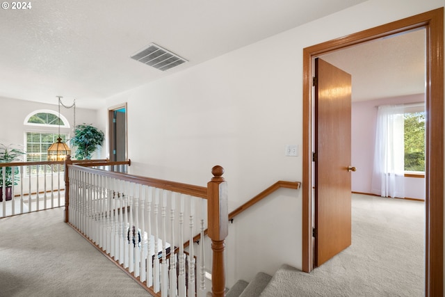 hallway with light carpet, a textured ceiling, and a wealth of natural light