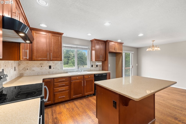 kitchen with hardwood / wood-style floors, sink, electric range, and plenty of natural light