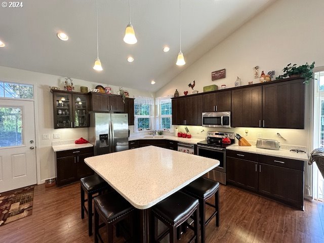 kitchen featuring dark brown cabinetry, dark hardwood / wood-style flooring, appliances with stainless steel finishes, and plenty of natural light