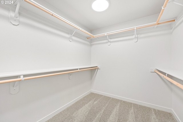 empty room featuring a textured ceiling and carpet flooring