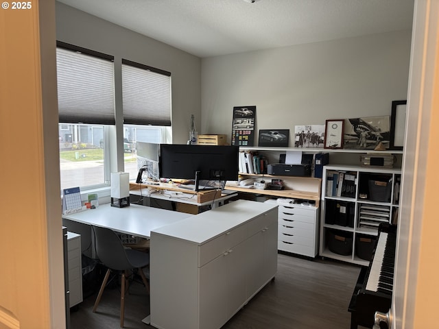 office with dark wood-type flooring