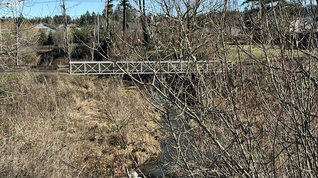 view of local wilderness